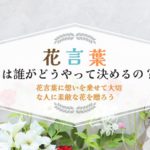 花言葉は誰がどうやって決めるの？花言葉に想いを乗せて大切な人に素敵な花を贈ろう