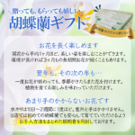 上場祝いに胡蝶蘭を贈ろう！おすすめの胡蝶蘭や相場は？手配の仕方とマナーを徹底解説